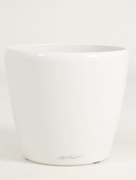 W�21�20